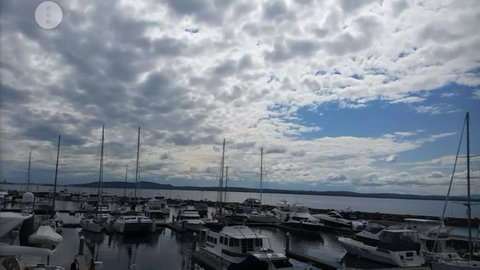 Port Stephens Day Tour With Dolphin Watching, Sandboarding & Australian Wildlife - Foster Accommodation 8