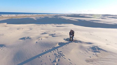 Port Stephens Day Tour With Dolphin Watching, Sandboarding & Australian Wildlife - Foster Accommodation 10