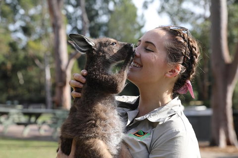 Port Stephens Day Tour With Dolphin Watching, Sandboarding & Australian Wildlife - Foster Accommodation 1