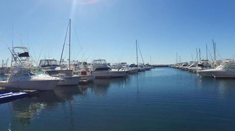 Port Stephens Day Tour With Dolphin Watching, Sandboarding & Australian Wildlife - Foster Accommodation 9