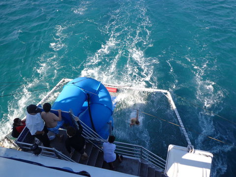 Port Stephens Day Tour With Dolphin Watching, Sandboarding & Australian Wildlife - Foster Accommodation 22