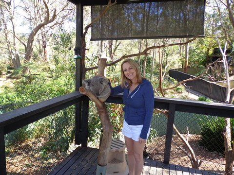 Port Stephens Day Tour With Dolphin Watching, Sandboarding & Australian Wildlife - Foster Accommodation 25