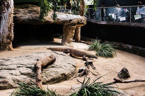 Sydney Taronga Zoo General Entry Ticket And Wild Australia Experience - Foster Accommodation 11