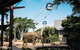 Sydney Taronga Zoo General Entry Ticket And Wild Australia Experience - thumb 16