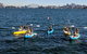 Sydney Harbour Sea Kayak Tour - thumb 1