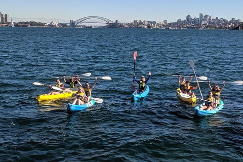 Sydney Harbour Sea Kayak Tour - Foster Accommodation 1