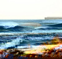 7-Day Byron Bay Evans Head and Moonee Beach Surf Safari from Brisbane Gold Coast or Byron Bay - Foster Accommodation