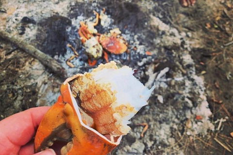 Pot To Plate Adventure - Foster Accommodation 4