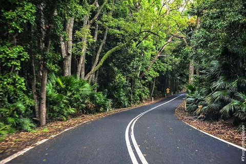 Waves Waterfalls And Wineries Full-Day Southern Highlands Private Tour - Foster Accommodation 1