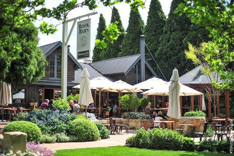 Waves Waterfalls And Wineries Full-Day Southern Highlands Private Tour - Foster Accommodation 2