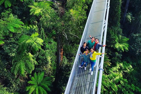 Waves Waterfalls And Wineries Full-Day Southern Highlands Private Tour - Foster Accommodation 7