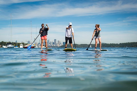Stand Up Paddle On Sydney Harbour From Watsons Bay - Foster Accommodation 0
