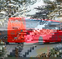 SkyBus Byron Bay Express - Foster Accommodation