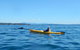 Whale Watching By Sea Kayak In Batemans Bay - thumb 0