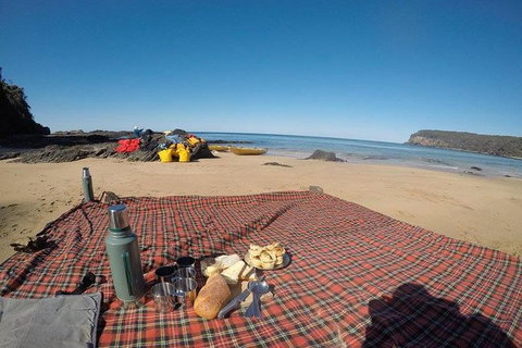 Whale Watching By Sea Kayak In Batemans Bay - Foster Accommodation 6