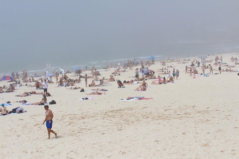 Sydney Shore Excursion: Half-Day Sydney City Highlights With Bondi Beach And Watsons Bay - Foster Accommodation 3