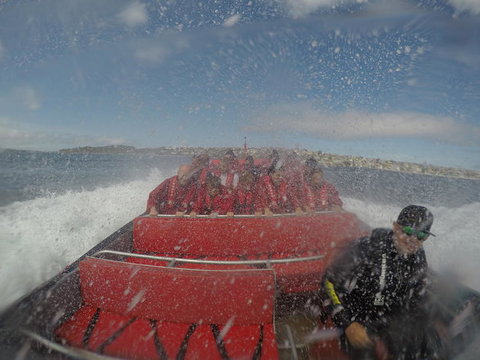 Sydney Harbour Jet Boat Thrill Ride: 30 Minutes - Foster Accommodation 5