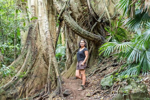 South Coast Private Bucket List Full Day Tour - Foster Accommodation 0