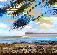 Arrawarra-Corindi Beach - Foster Accommodation