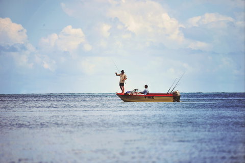 Barramundi To Trevally – A Seaforth Fishing Adventure - Foster Accommodation 1