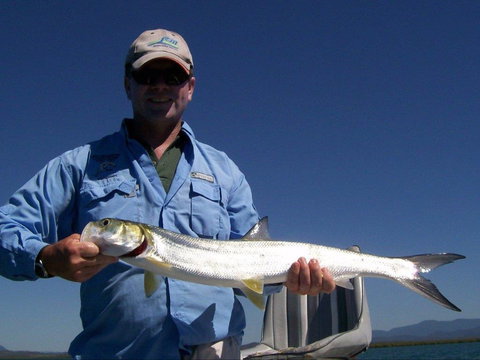 Barramundi To Trevally – A Seaforth Fishing Adventure - Foster Accommodation 2