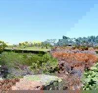 Bladensburg National Park - Foster Accommodation