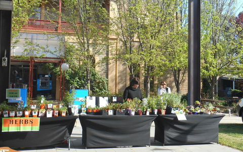 Clare Show Market - Foster Accommodation 0