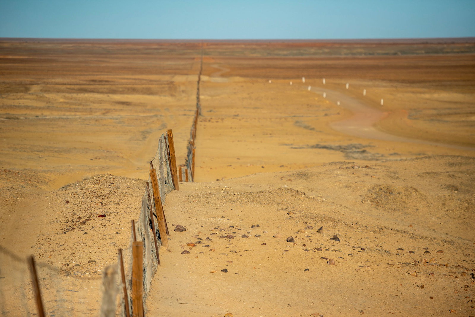 Flinders Ranges And Outback SA Foster Accommodation