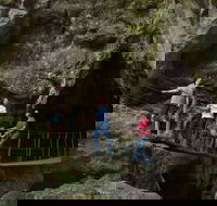 Dig the Tropic - Foster Accommodation