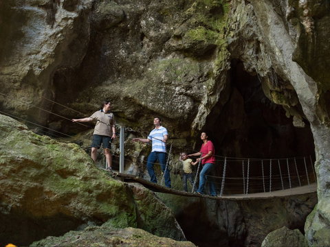 Dig The Tropic - Foster Accommodation 0