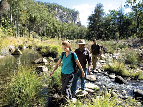 Dig The Tropic - Foster Accommodation 1