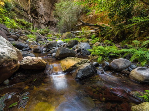 Dig The Tropic - Foster Accommodation 2