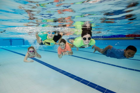 East Maitland Aquatic Centre - Foster Accommodation 1