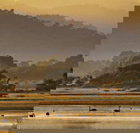 Greens Beach - Foster Accommodation