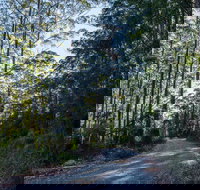 Hastings Forest Way Touring Route - Foster Accommodation