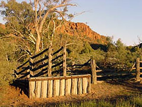 Illamurta Springs Conservation Reserve - Foster Accommodation 0