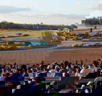 Ipswich Motorsport Precinct - Foster Accommodation
