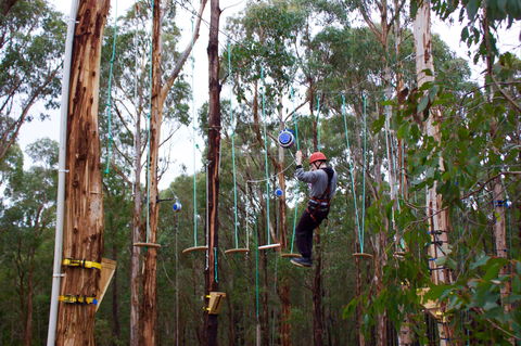 Kinglake Forest Adventures - Foster Accommodation 0