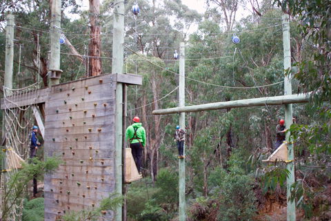 Kinglake Forest Adventures - Foster Accommodation 1