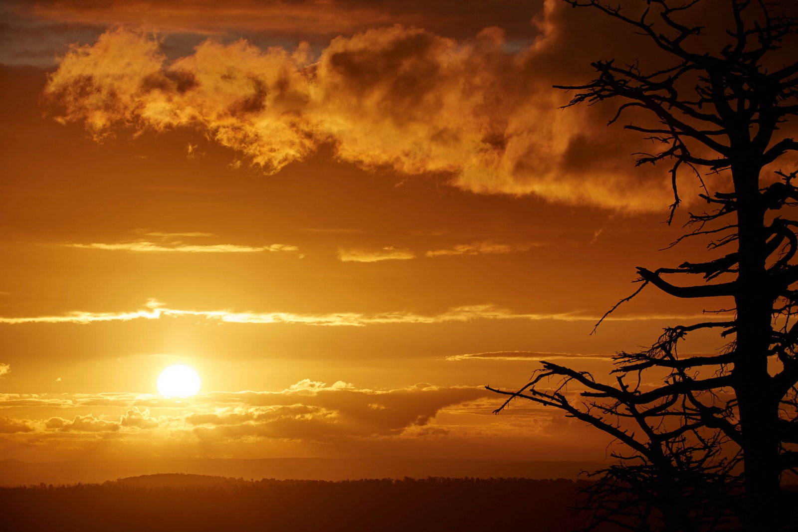 Kinglake Central VIC Foster Accommodation
