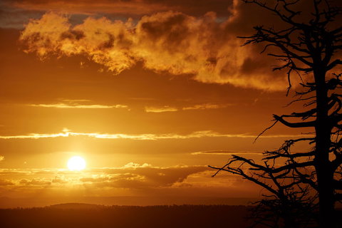 Lady Stonehavens Lookout - Foster Accommodation 0
