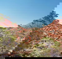 Lark Quarry Conservation Park - Foster Accommodation