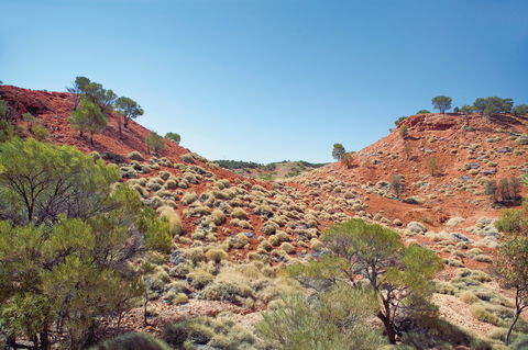 Lark Quarry Conservation Park - Foster Accommodation 0