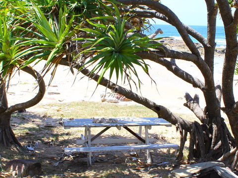 Little Shelley - Foster Accommodation 2