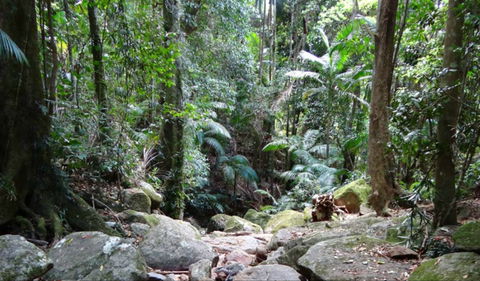 Lyrebird Track - Foster Accommodation 0