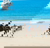 Mackay Harbour Beach - Foster Accommodation