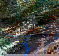 Ms Kellys Walking Track - Foster Accommodation