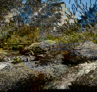 Pallaibo walking track - Foster Accommodation