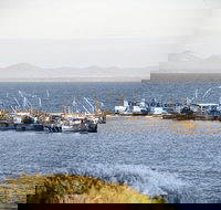 Portarlington - Foster Accommodation