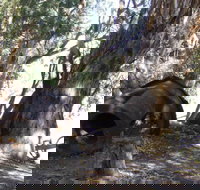 PS Providence historic site - Foster Accommodation